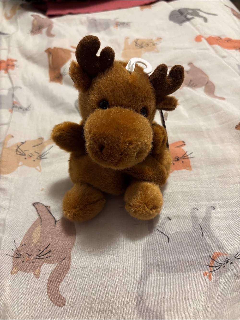 brand new palm pals moose